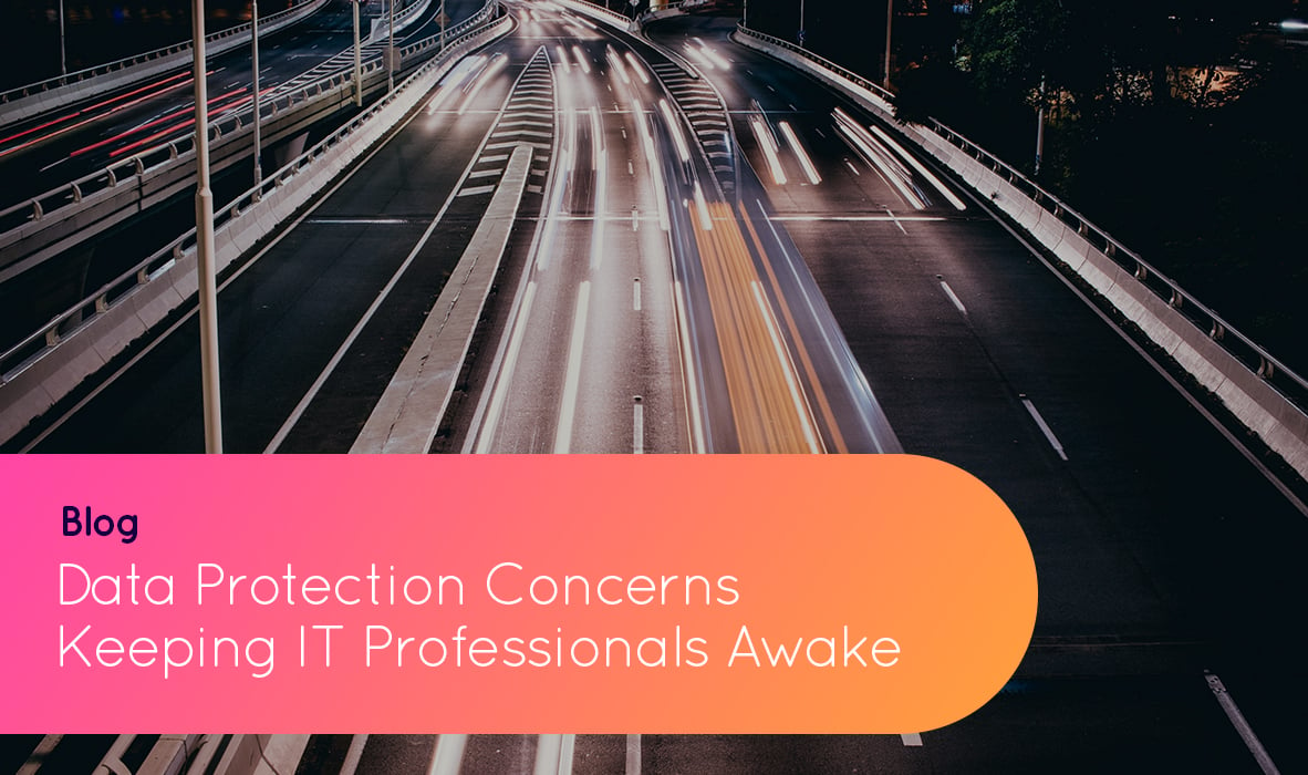 What are the data protection concerns keeping IT professionals awake?